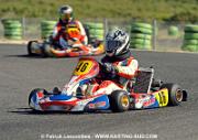 DSC_7245 copie